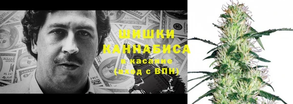 таблы Ельня