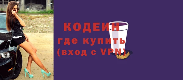 дживик Елабуга