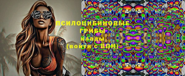 таблы Ельня