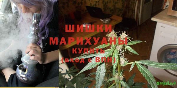 дживик Елабуга