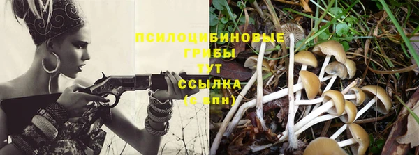 дживик Елабуга