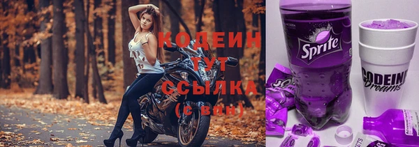 дживик Елабуга