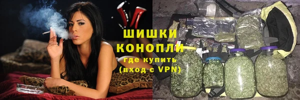 дживик Елабуга