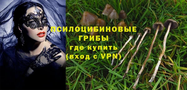 таблы Ельня