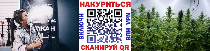 Купить закладки  Урус-Мартан  Шишки марихуана семена 